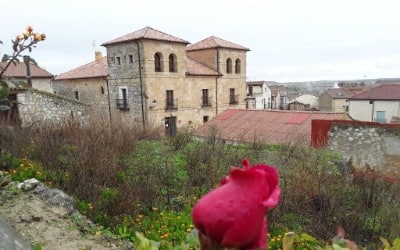 Palacio de Guzmán hotel que acepta perros en Burgos