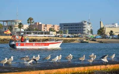 Paseo en barco por las marismas de Isla Cristina y Punta del Moral