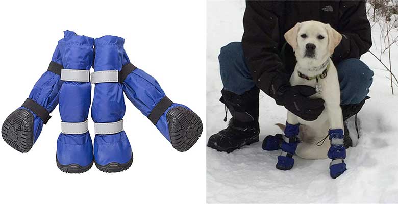 Botas de agua y nieve para perros (impermeables - PetPhindU