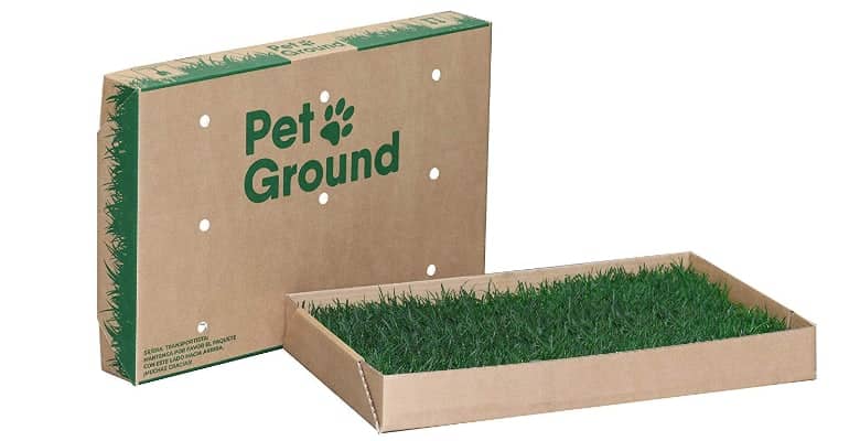 PetGround: WC de césped natural para perros