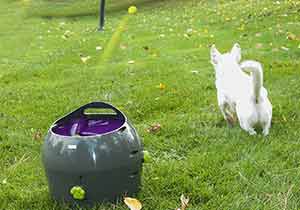 Máquina lanza pelotas para perros automática - Petsafe