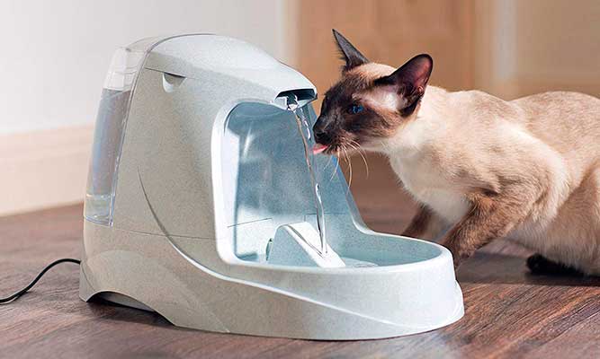 El bebedero fuente más popular para gatos y perros - Petsafe Drinkwell Platinum