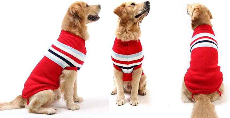 Jersey para perros medianos y grandes - Petyoung