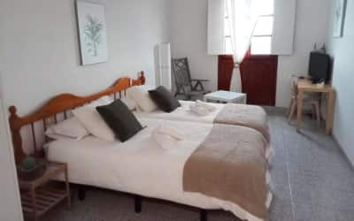 Playa apartamentos pet friendly en La Gomera