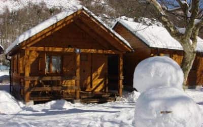 Prado Verde camping para ir con perro en el Pirineo Catalán - Valle de Arán