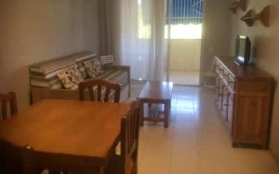 Punta Prima 229 apartamento que acepta mascotas en La Pineda