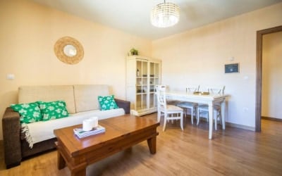 Ribera del Duero Las Escuelas apartamentos pet friendly en Burgos