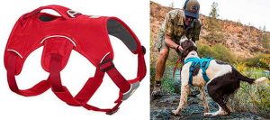 Arnés de seguridad para perros con 5 puntos de ajuste - Ruffwear Web Master