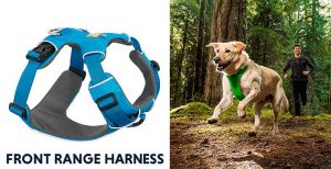 Arnés de calidad premium para perros - Ruffwear Front Range