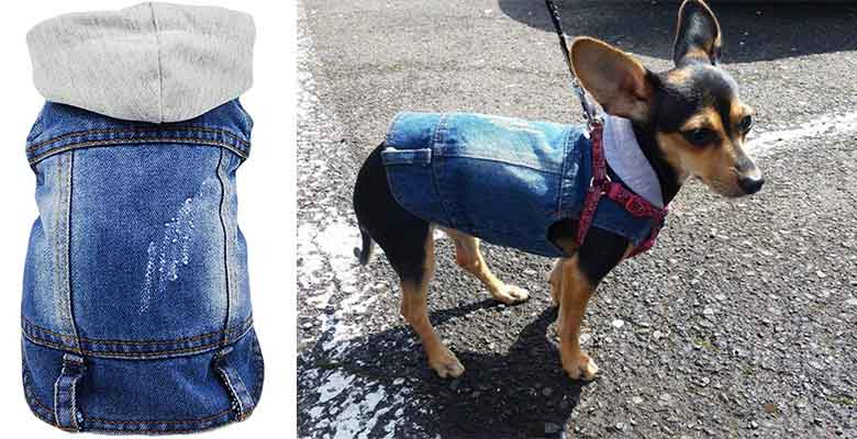 Traje para perros estilo vaquero - SILD