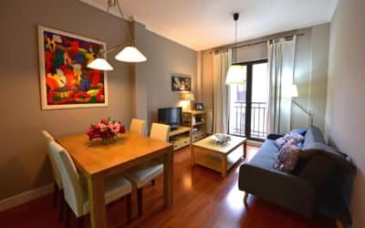 Salamanca Centro - Apartamentos que aceptan perros en Salamanca