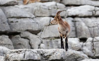 Senderismo por el Torcal de Antequera