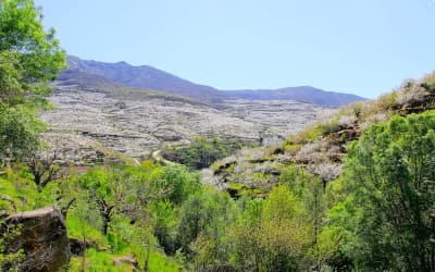 Senderismo por la Garganta de los Infiernos y Valle del Jerte