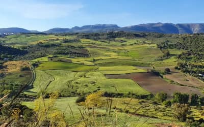 Senderismo por los molinos del Tajo