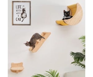 Set de estanterías para gatos - HAPYKITTYS