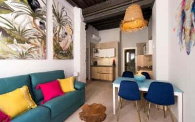 Simba apartamentos pet friendly en Málaga