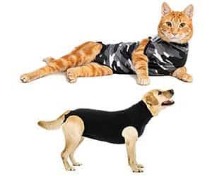 La mejor alternativa al collar isabelino: traje de recuperación para perros y gatos - Suitical