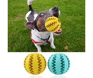 Pelota de goma y con dientes para perros - Kilva