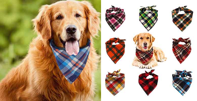 Pack de 8 pañuelos/bandanas para perros - VIPITH