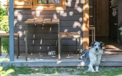 Verneda Mountain Resort camping que admite mascotas en Pirineo Catalán - Valle de Arán