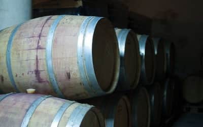 Visita Bodega Celler Cal Menescal