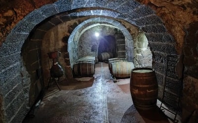 Visita a la bodega Peños Martín Marcos