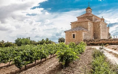 Visita a las bodegas Dominio Lubiano