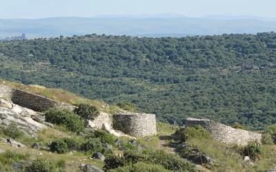 Visita guiada por el Castro de Las Cogotas