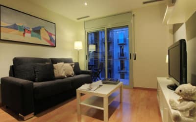 Alguera Apartments Industria - Apartamentos pet friendly en Barcelona