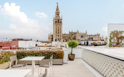 numa I Molina - Apartamentos pet friendly en Sevilla