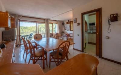 OS HomeHolidaysRental Iris apartamento que admite perros en Santa Susanna