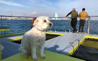 Paseo en catamaran por Barcelona