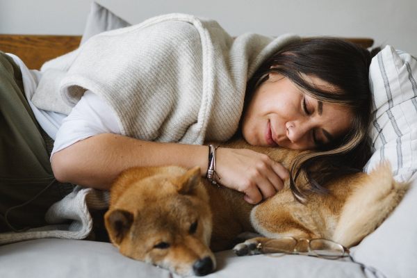 acompaña a tu perro para calmarlo si hay petardos o fuegos artificiales