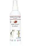 Feuille rouge - Hierba gatera en spray, 125 ml de Nepeta cataria