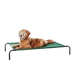 Cama fresca levantada para cães - AmazonBasics