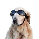 Vivi Bear Pet Gafas de Sol Plegables Gafas Pet Gafas de Sol de Moda UV Cool Gafas de Pet con Correa Ajustable y Impermeable a Prueba de Viento para Perros medianos y Grandes (Negro)