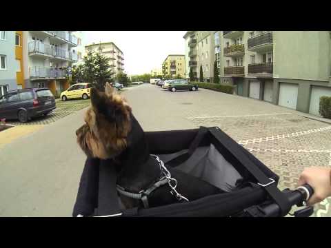 Trixie Front-Box bike basket gopro - koszyk dla psa na rower