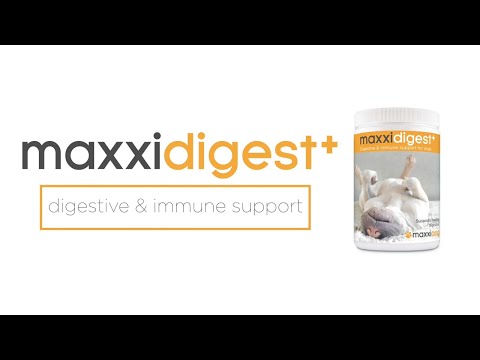 maxxidigest+ digestive and immune support for dogs