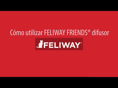 Cómo usar Feliway Friends para gatos