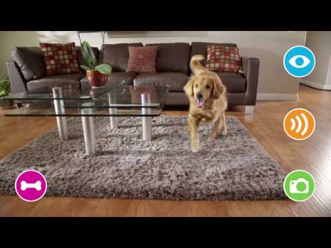 Petzi Treat Cam - WiFi Pet Camera &amp; Treat Dispenser