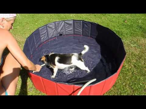 Femor Doggy Pool / Hundepool