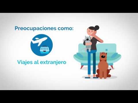 ¿Por qué un seguro de mascotas?. #santalucíamascotas