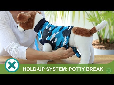 Ready for a potty break? Use the hold-up system!