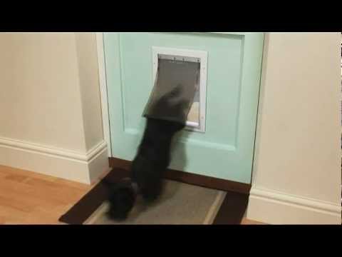 Staywell® Aluminium Pet Door for Dogs &amp; Cats