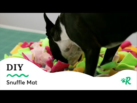 DIY Snuffle Mat