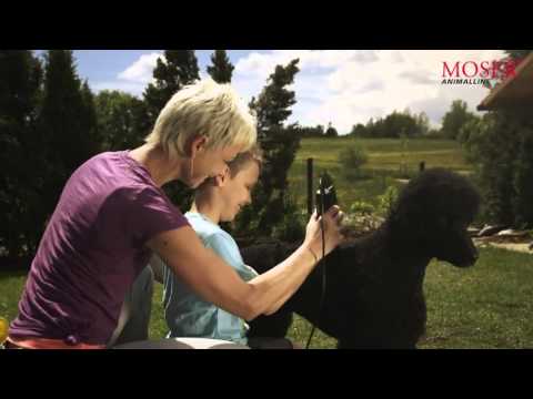 MOSER Animal commercial