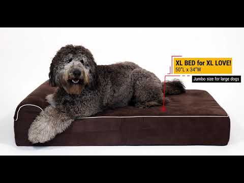 Kopeks Orthopedic Memory Foam Dog Bed with Pillow