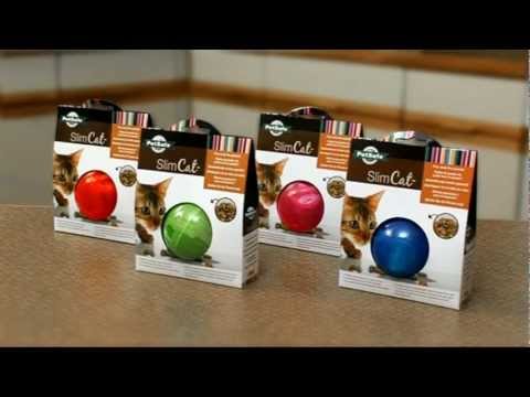 PetSafe® SlimCat™ Food-Dispensing Interactive Cat Toy