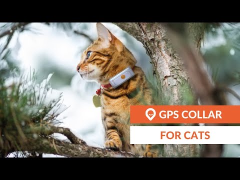 Cat GPS tracker | Weenect Cats 2 (EN)