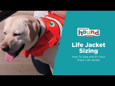 How To Size and Fit Your Outward Hound Dog Life Jacket